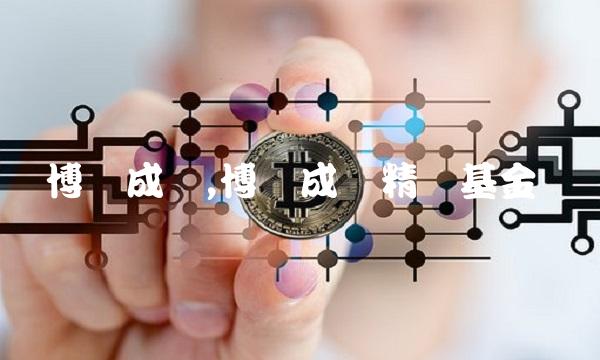 博时成长,博时成长精选基金