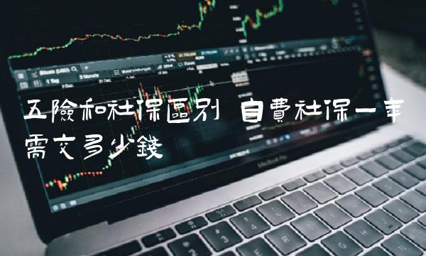 五险和社保区别 自费社保一年需交多少钱