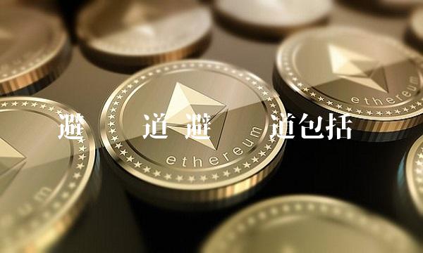 避险车道 避险车道包括