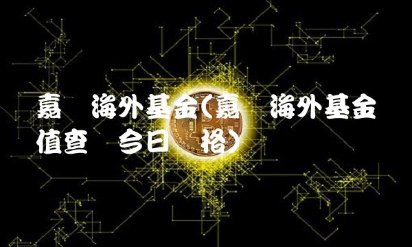 嘉实海外基金(嘉实海外基金净值查询今日价格)