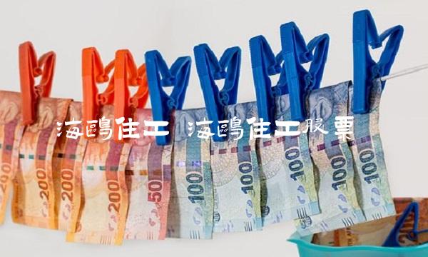 海鸥住工 海鸥住工股票