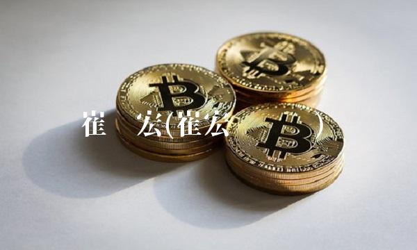 崔伟宏(崔宏伟简历)