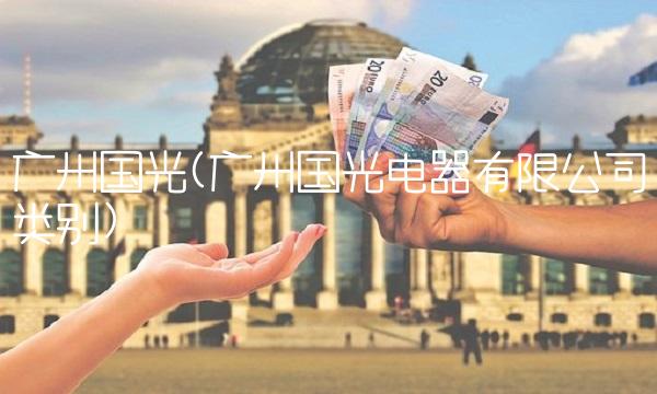 广州国光(广州国光电器有限公司类别)