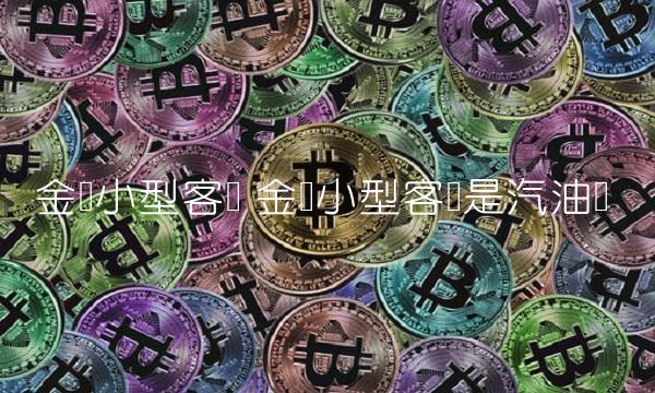 金龙小型客车 金龙小型客车是汽油吗