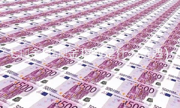 七险两金(七险两金指的是什么待遇)