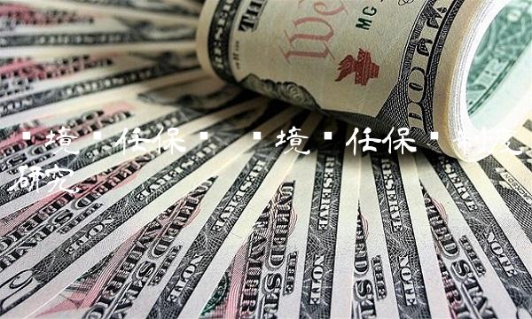 环境责任保险 环境责任保险制度研究
