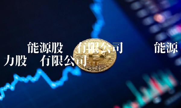 华电能源股份有限公司 华电能源电力股份有限公司