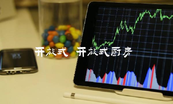 开放式 开放式厨房