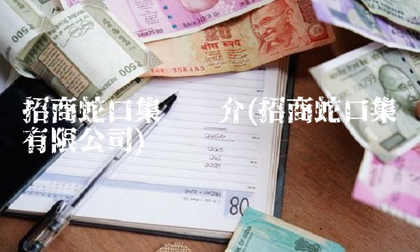 招商蛇口集团简介(招商蛇口集团有限公司)