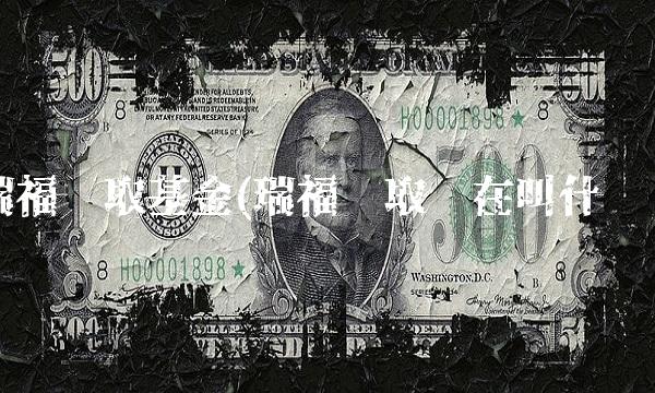 瑞福进取基金(瑞福进取现在叫什么)