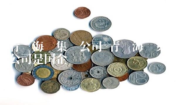 青岛海尔集团公司 青岛海尔集团公司是国企吗
