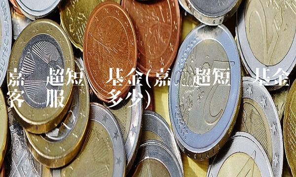 嘉实超短债基金(嘉实超短债基金客户服务费多少)