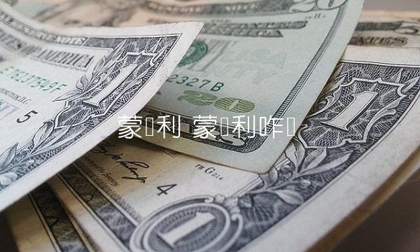 蒙发利 蒙发利咋样