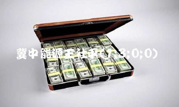 冀中能源王社平(1;3;0;0)