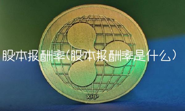 股本报酬率(股本报酬率是什么)