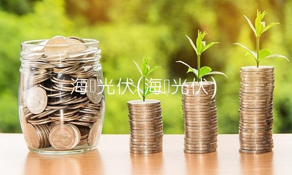 海润光伏(海润光伏)