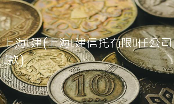 上海爱建(上海爱建信托有限责任公司贷款)