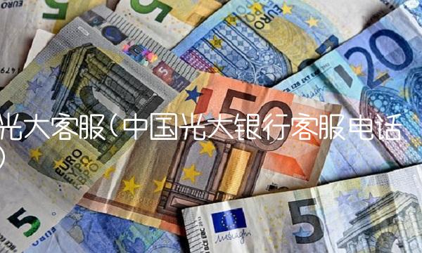 光大客服(中国光大银行客服电话)