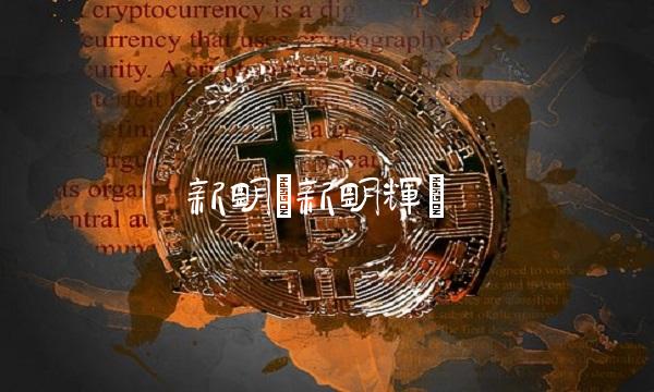 新明(新明辉)