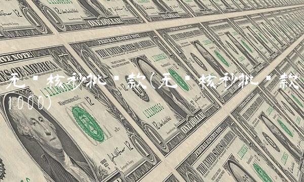 无审核秒批贷款(无审核秒批贷款1000)