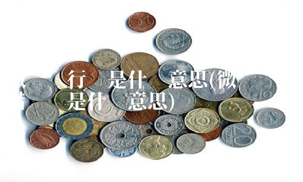 微众银行卡是什么意思(微众银行借记卡是什么意思)