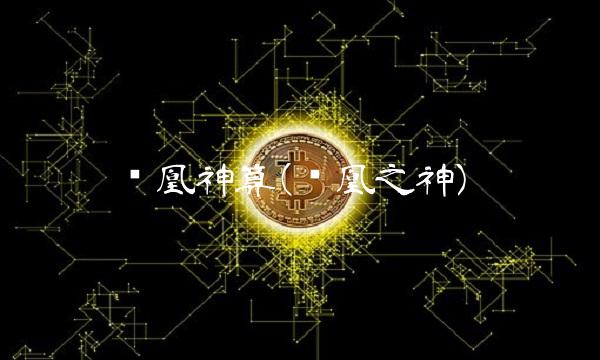 凤凰神算(凤凰之神)