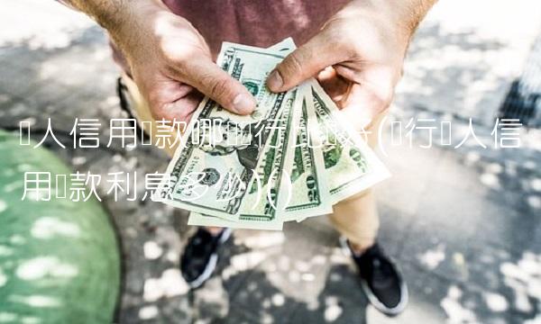 个人信用贷款哪个银行比较好(银行个人信用贷款利息多少)()
