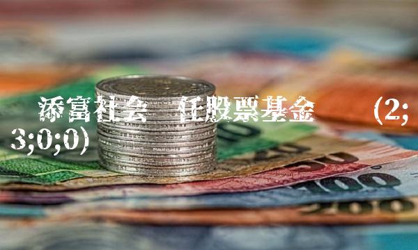 汇添富社会责任股票基金净值(2;3;0;0)