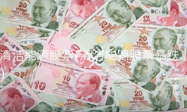 清洁能源股票(清洁能源股票暴跌)