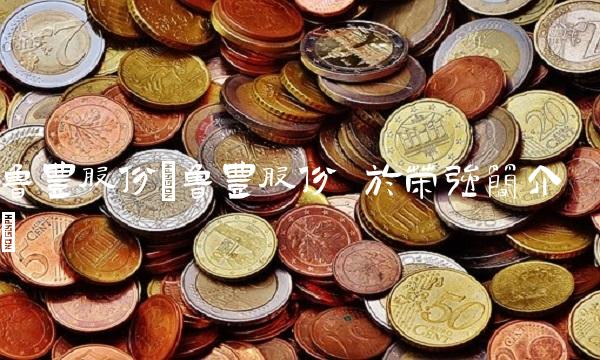 鲁丰股份(鲁丰股份 于荣强简介)