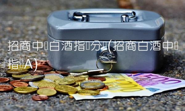 招商中证白酒指数分级(招商白酒中证指数A)