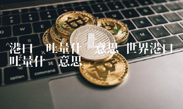 港口吞吐量什么意思 世界港口吞吐量什么意思