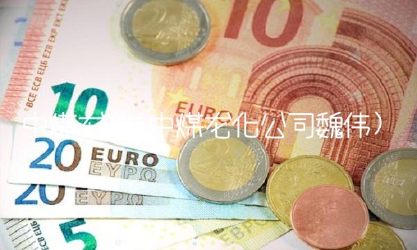 中煤龙化(中煤龙化公司魏伟)