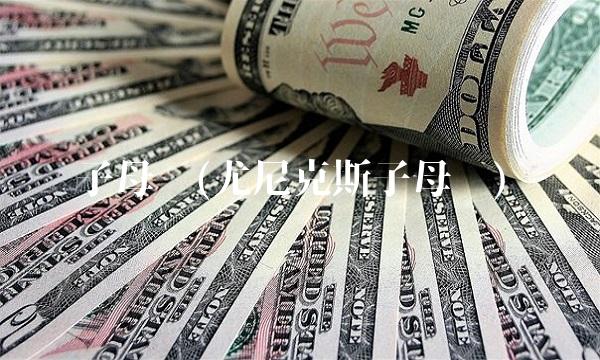 子母线(尤尼克斯子母线)