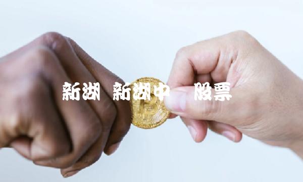 新湖 新湖中宝股票