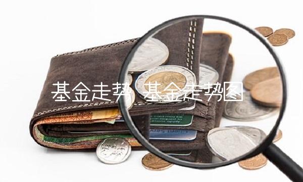 基金走势 基金走势图