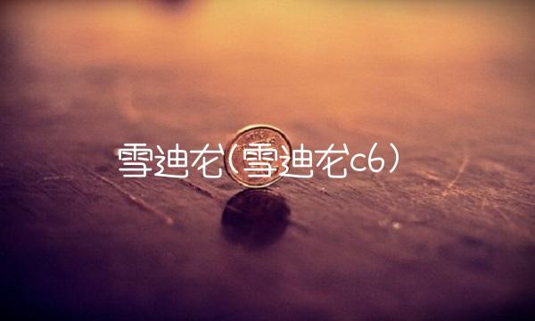 雪迪龙(雪迪龙c6) 雪迪龙(雪迪龙c6)