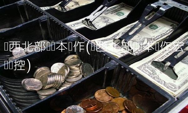 广西北部湾资本运作(广西北部湾资本运作宏观调控)