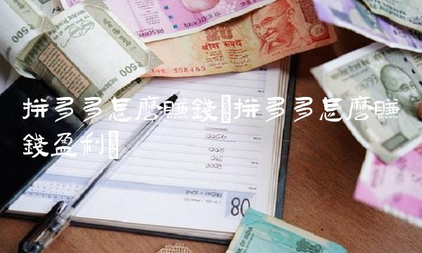 拼多多怎么赚钱(拼多多怎么赚钱盈利)