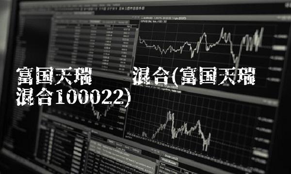 富国天瑞强势混合(富国天瑞强势混合100022)
