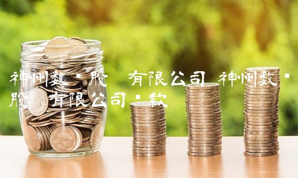 神州数码股份有限公司 神州数码股份有限公司贷款
