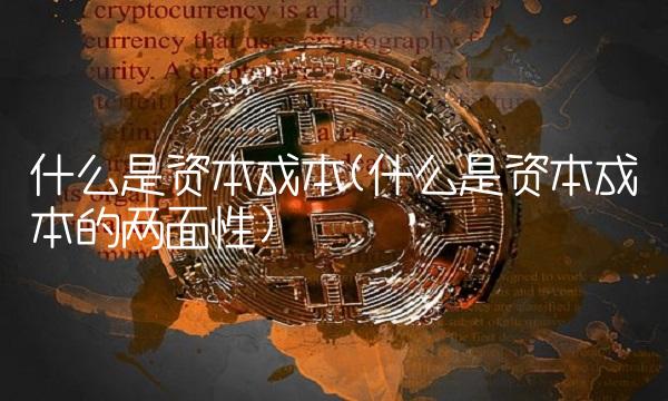 什么是资本成本(什么是资本成本的两面性)