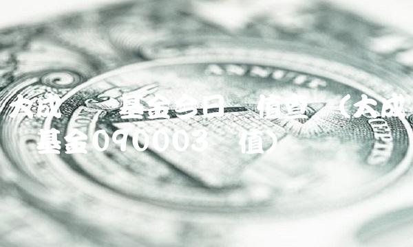 大成蓝筹基金今日净值查询(大成蓝筹基金090003净值)
