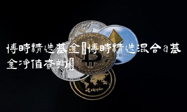博时精选基金(博时精选混合a基金净值查询)