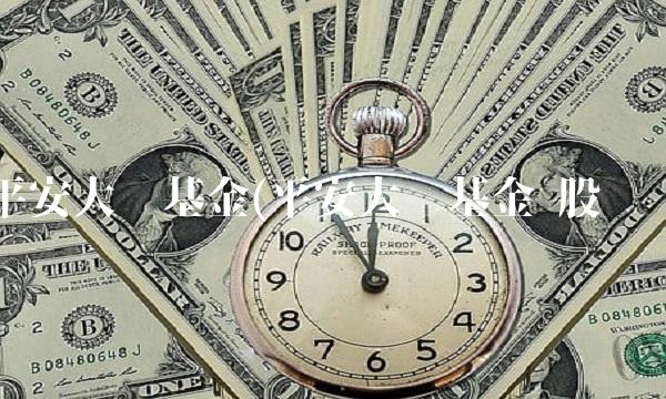 平安大华基金(平安大华基金 股东)