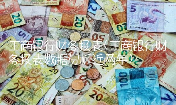 工商银行财务报表(工商银行财务报表数据分析近两年)