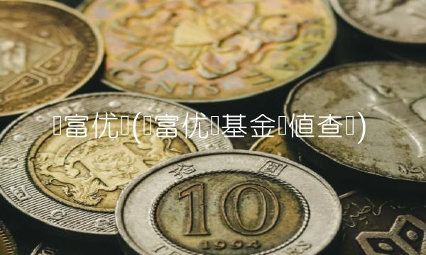 华富优选(华富优选基金净值查询)
