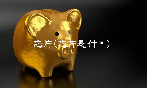 芯片(芯片是什么) 芯片(芯片是什么)