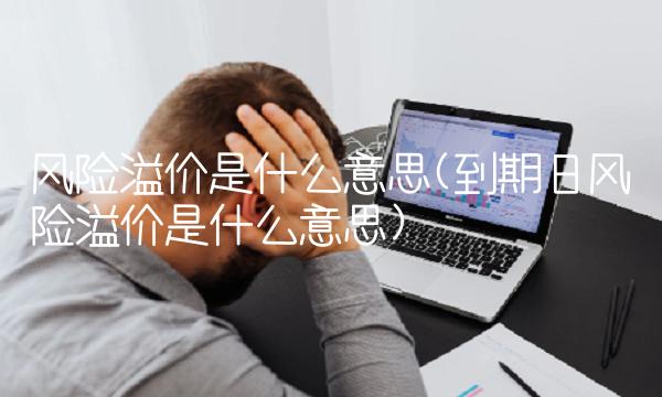风险溢价是什么意思(到期日风险溢价是什么意思)