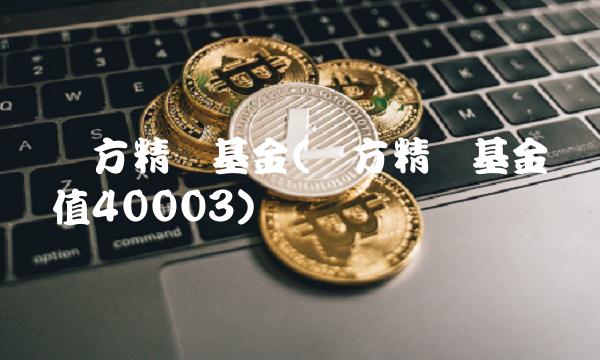 东方精选基金(东方精选基金净值40003)